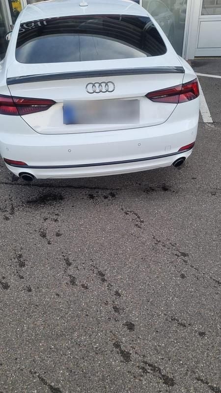 Gebraucht Audi A5 Sportback 170 PS (125 kW) 2020 Weiß Kleinwagen