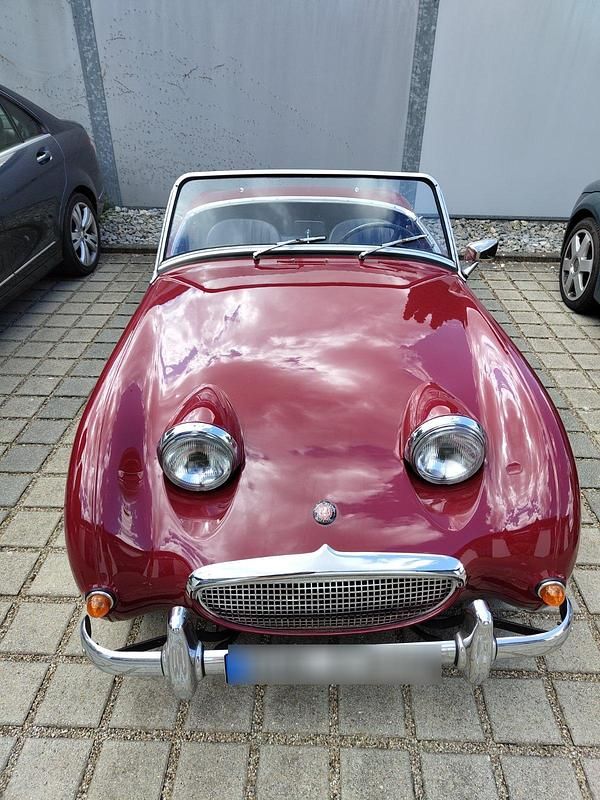 Gebraucht Austin Healey Frogeye 43 PS (31 kW) 1955 Cabrio