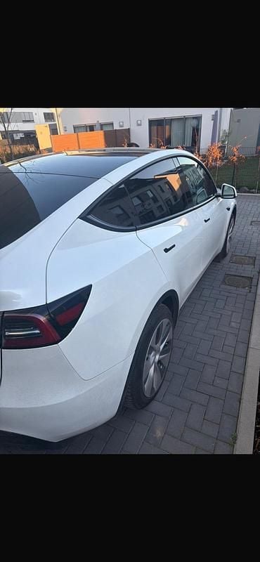 Gebraucht Tesla Model Y Standard Range 150 kW (204 PS) 2023 Weiß SUV