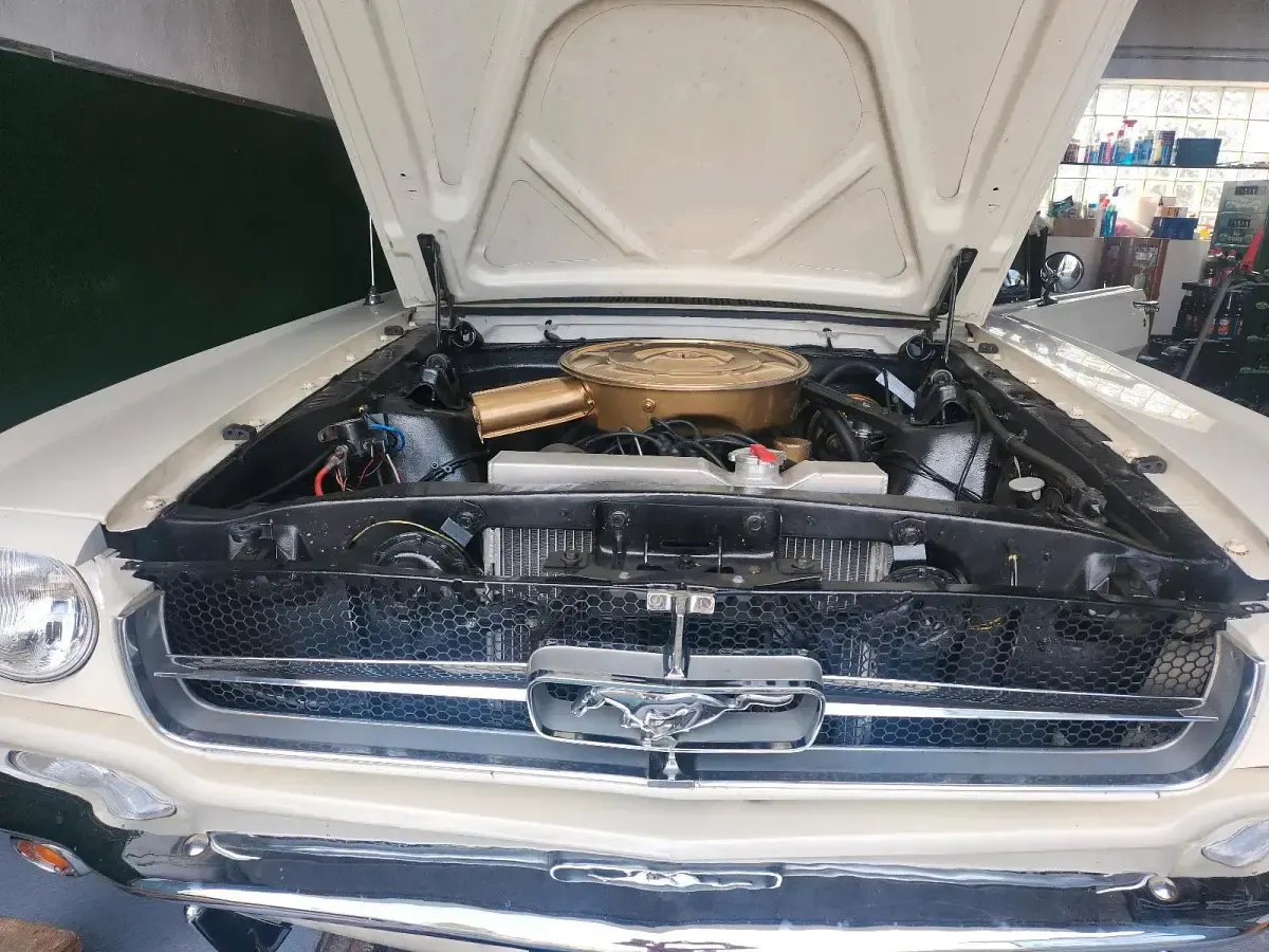 Gebraucht Ford V8 208 PS (152 kW) 1965 Weiß