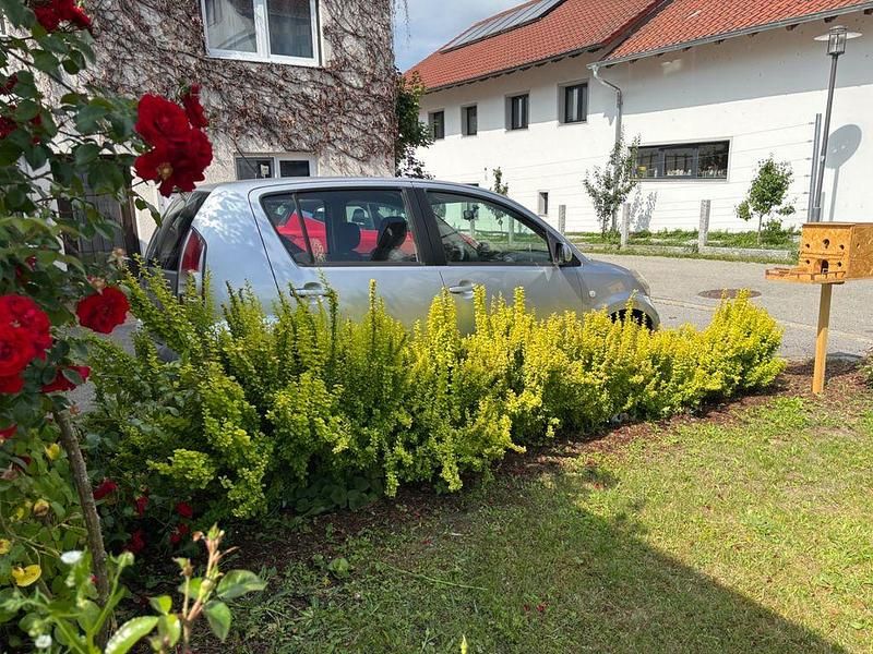 Bild 4/4