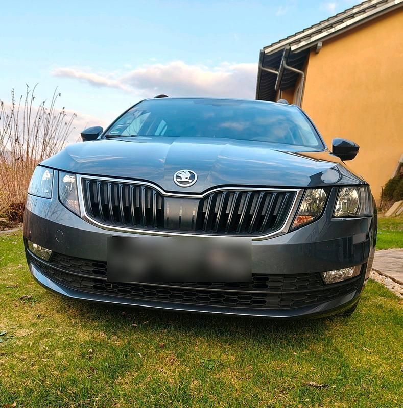 Gebraucht Skoda Octavia Style 150 PS (110 kW) 2019 Grau Kombi