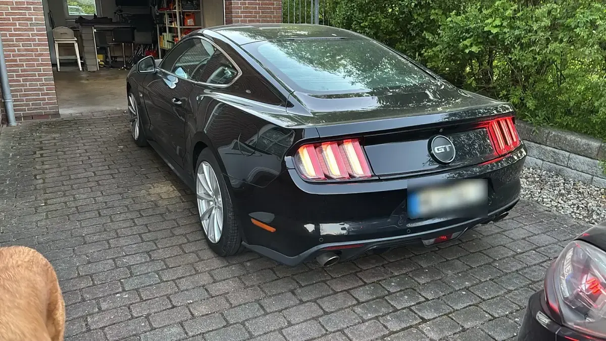 Occasion Ford Mustang Fastback 421 ch (309 kW) 2016 Noir Coupé