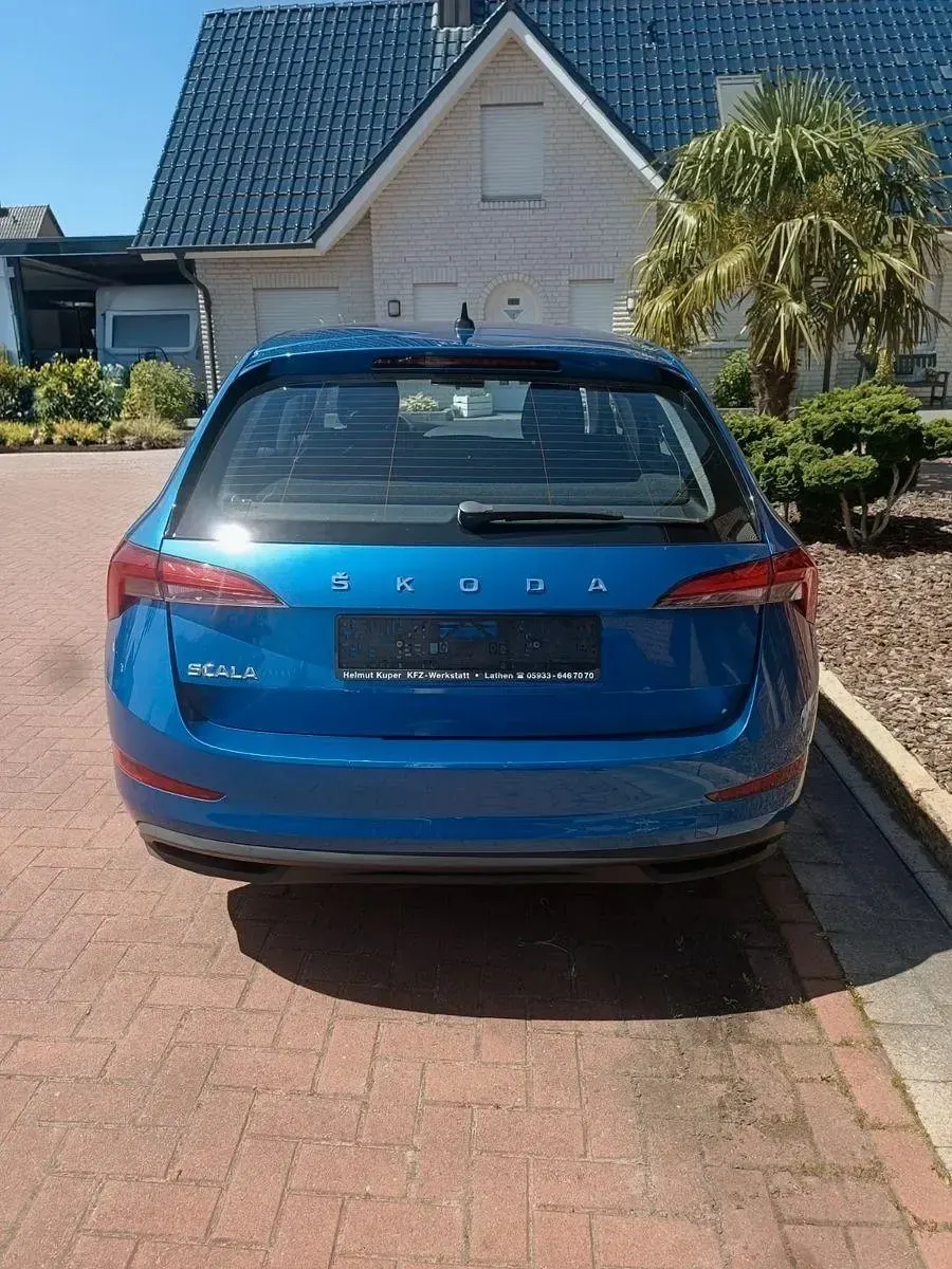 Gebraucht Skoda Scala Active 95 PS (69 kW) 2019 Blau Kleinwagen