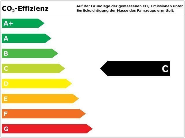 Gebraucht Skoda Fabia Cool Edition 86 PS (63 kW) 2013 Blau Kleinwagen