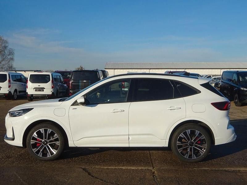 Neu Ford Kuga ST-Line X 242 PS (177 kW) 2025 Weiß SUV