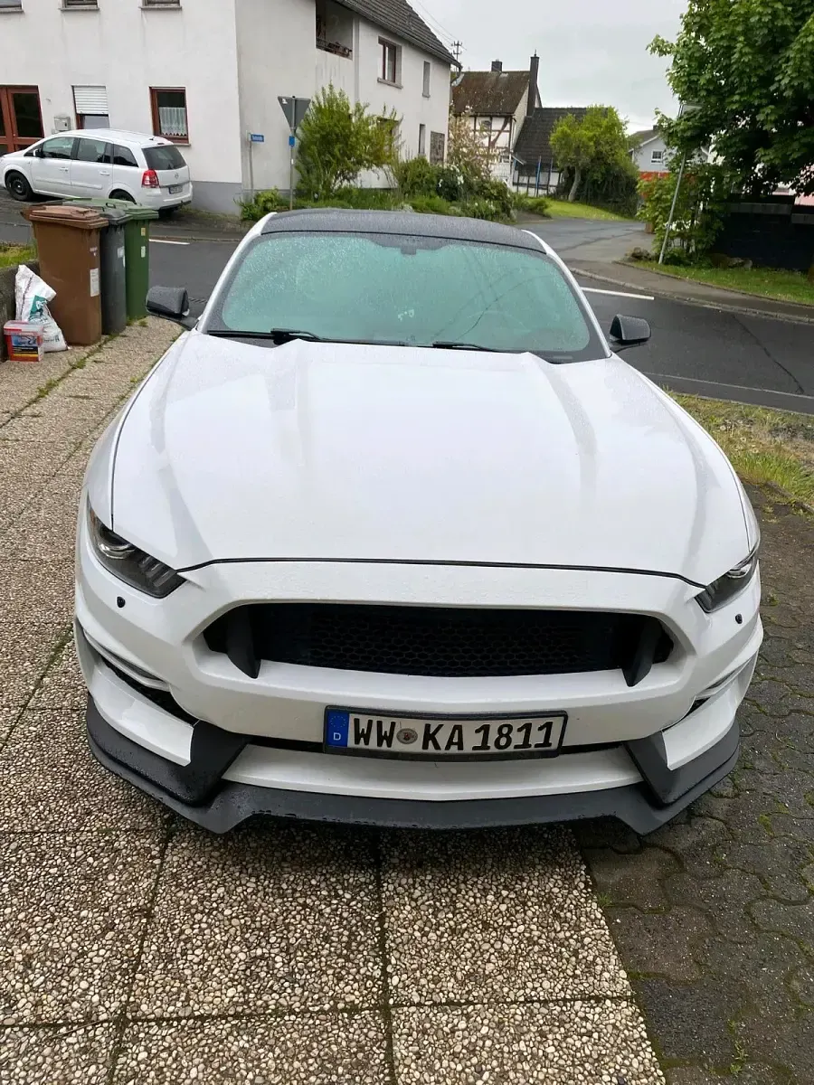 Occasion Ford Mustang 310 ch (228 kW) 2017 Blanc Coupé