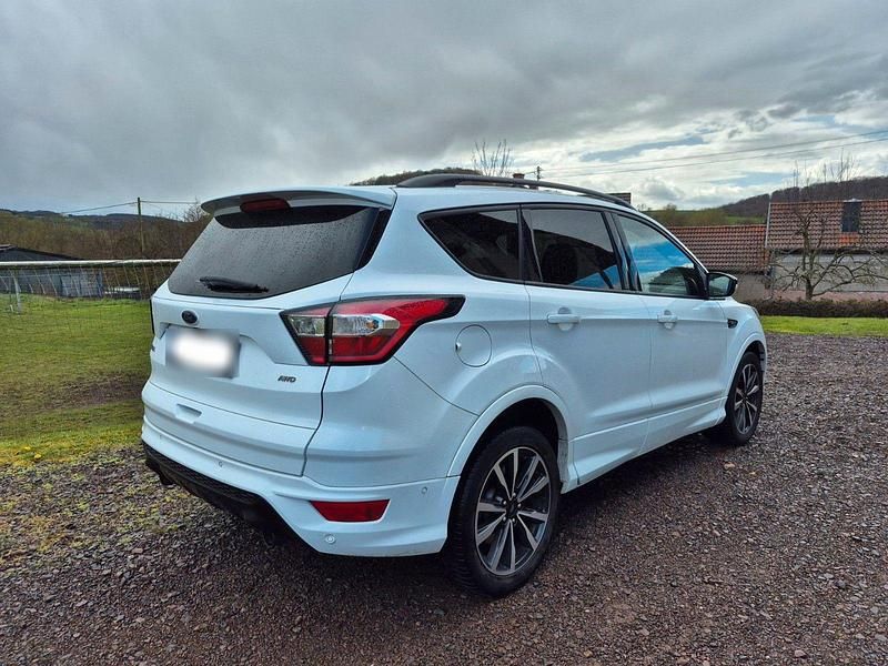 Gebraucht Ford Kuga ST-Line 150 PS (110 kW) 2019 Weiß SUV