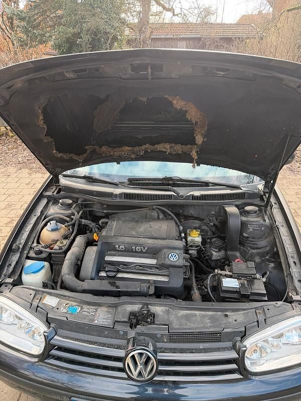 Gebraucht VW Golf IV 105 PS (77 kW) 2000 Schwarz Kleinwagen