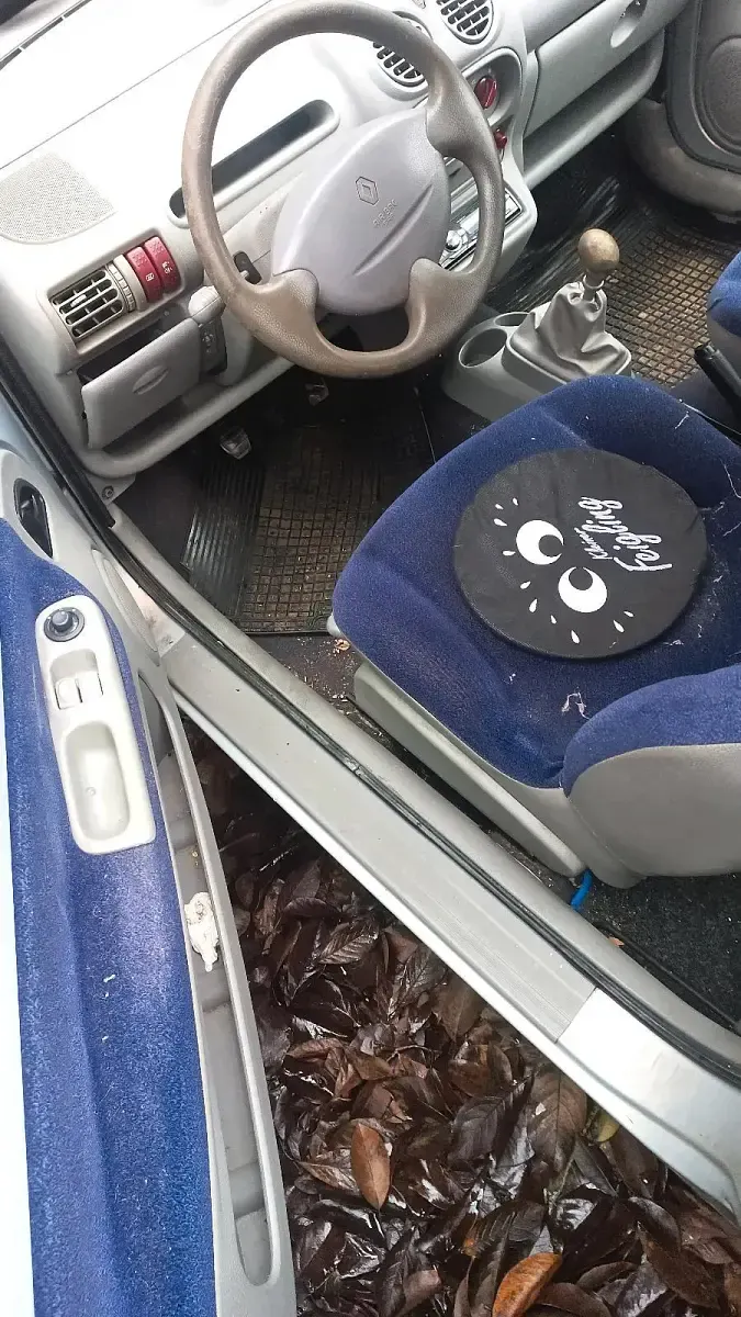 Gebraucht Renault Twingo 75 PS (55 kW) 2001 Silber Kleinwagen
