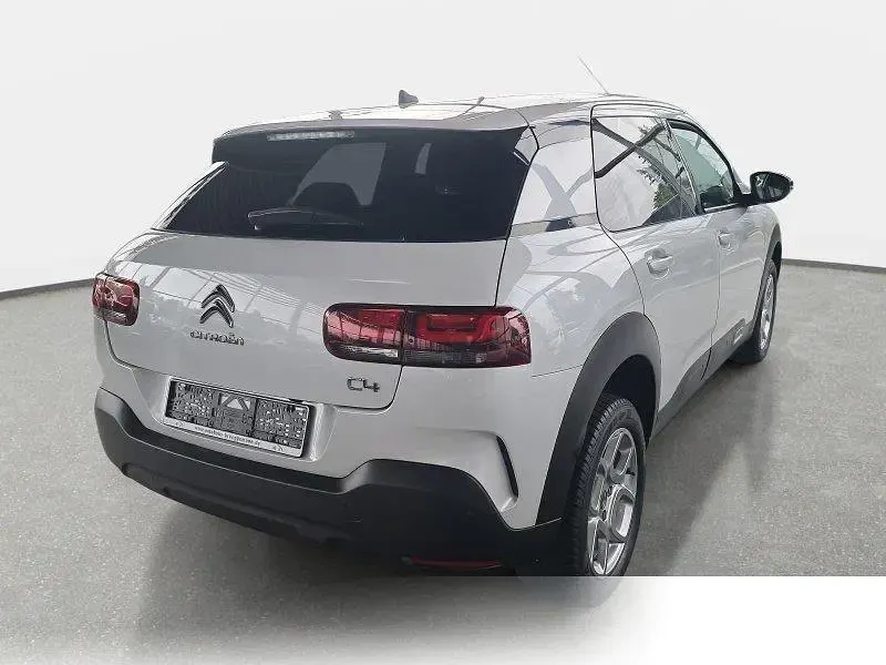 Gebraucht Citroën C4 Cactus PureTech 110 PS (80 kW) 2019 Weiß metallic Kleinwagen