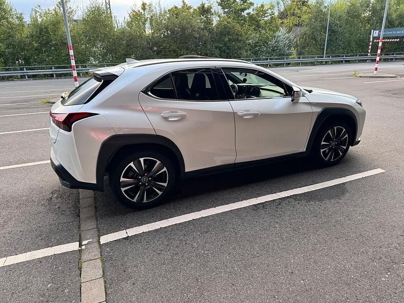 Gebraucht Lexus UX 250h Executive Line 184 PS (135 kW) 2022 Weiß SUV