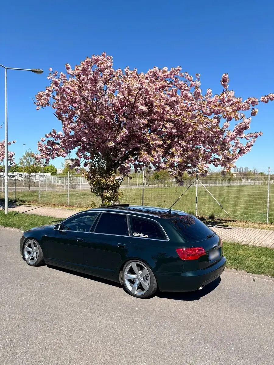 Gebraucht Audi A6 S-line plus 179 PS (131 kW) 2008 Grün Kombi