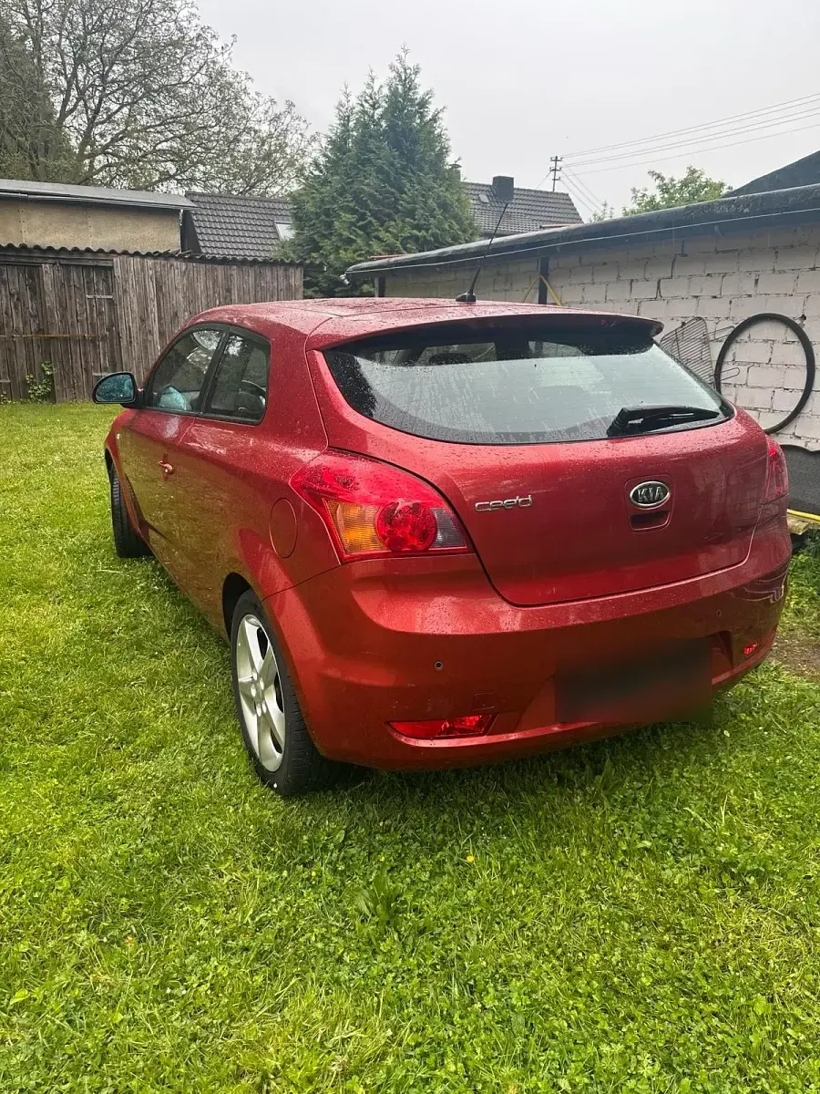 Używany Kia ProCeed 2009 Czerwony Hatchback