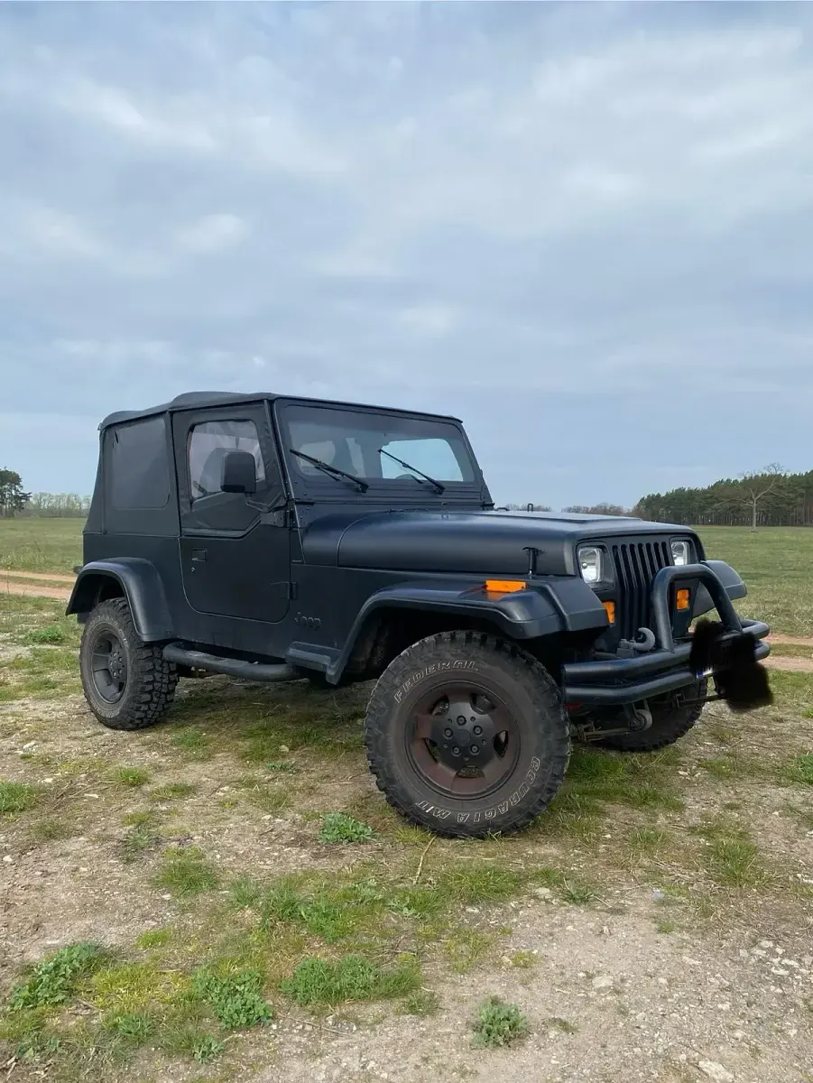 Gebraucht Jeep Wrangler 123 PS (90 kW) 1992 Schwarz SUV