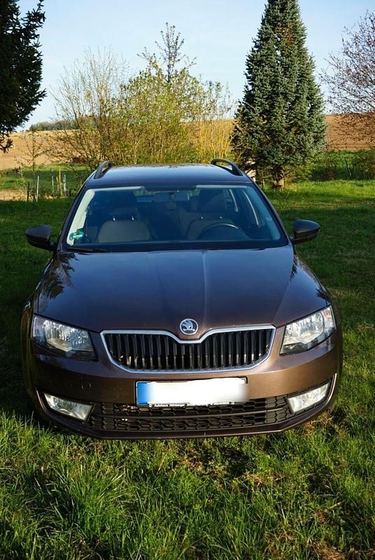 Braun Gebraucht 2014 Skoda Octavia Active Kombi | 4.920 € (Superpreis) - Bild 1/4