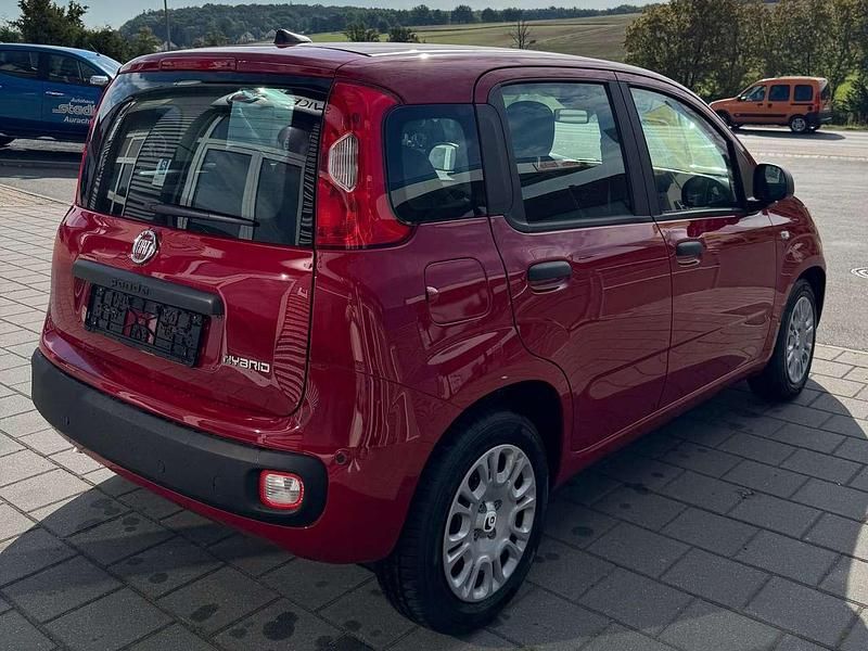 Neu Fiat Panda 69 PS (50 kW) 2025 Rot Kleinwagen