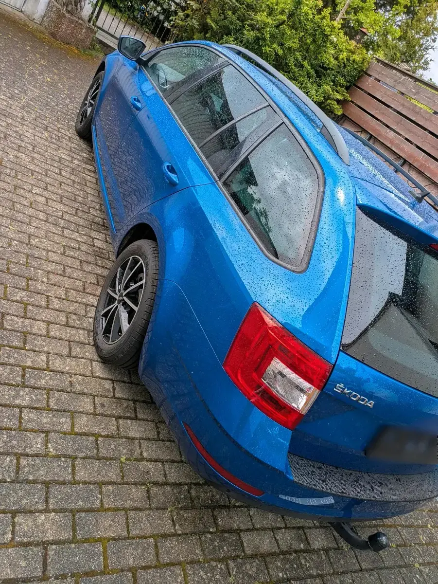 Gebraucht Skoda Octavia 150 PS (110 kW) 2017 Blau Kombi
