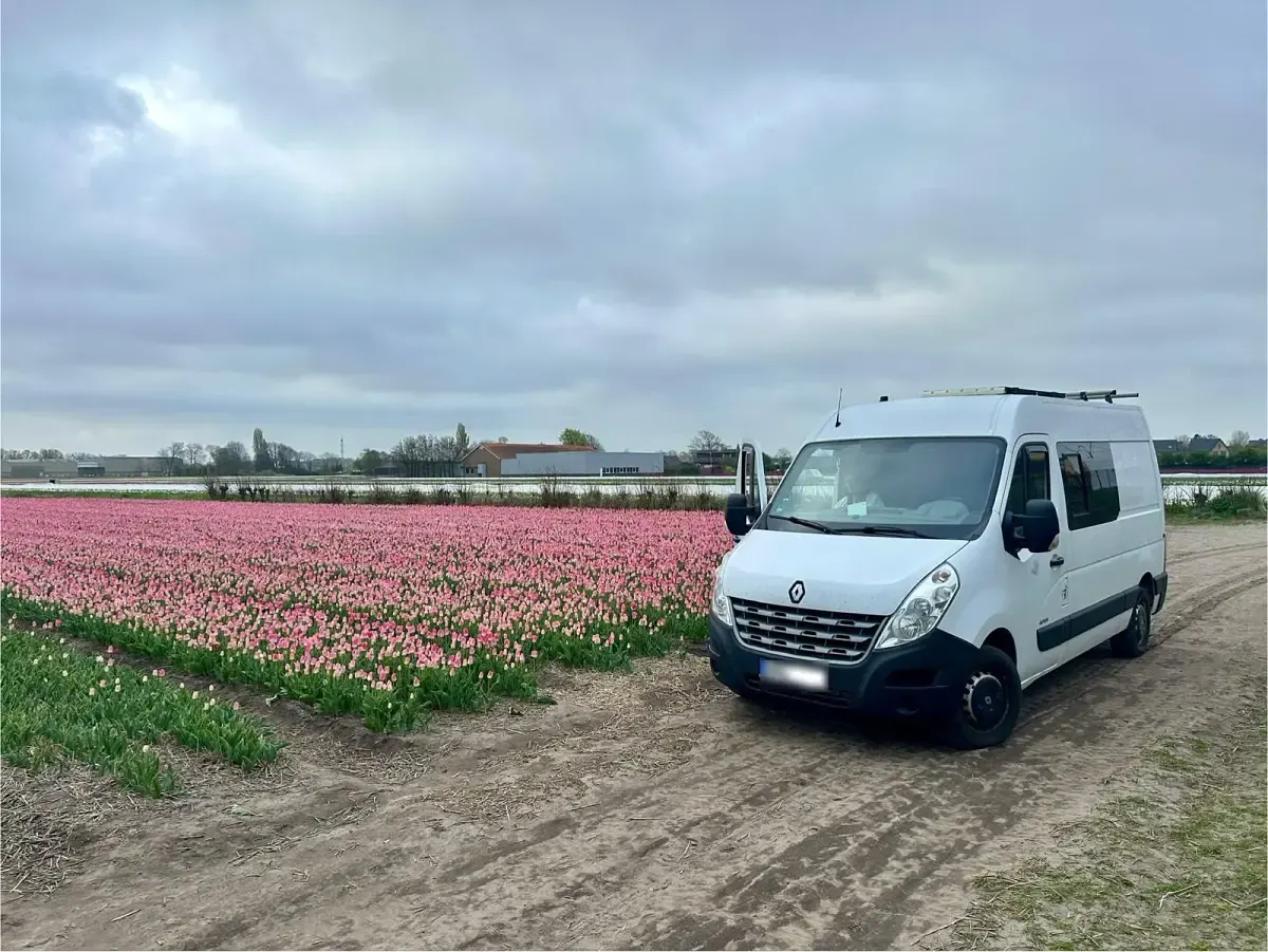 Gebraucht Renault Master 136 PS (100 kW) 2013 Weiß Van / Kleinbus