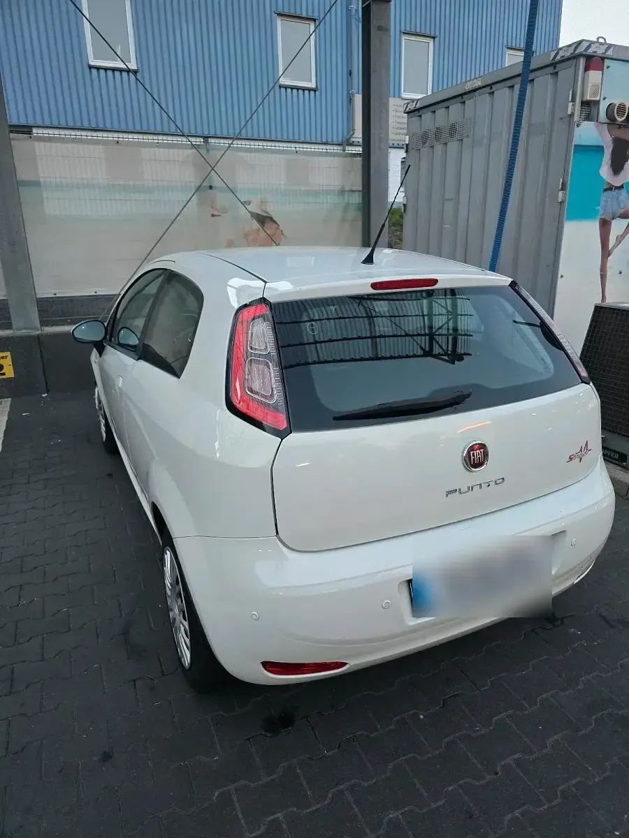 Gebraucht Fiat Punto 69 PS (50 kW) 2014 Weiß Kleinwagen