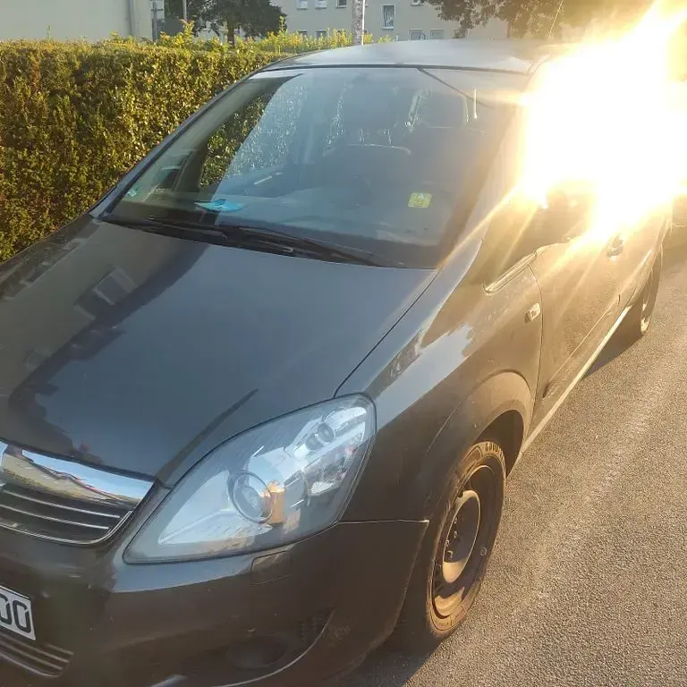 Gebraucht Opel Zafira Edition 140 PS (102 kW) 2011 Grau Van / Kleinbus