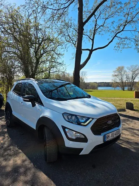 Usado Ford Ecosport Active 125 CV (91 kW) 2022 Blanco SUV