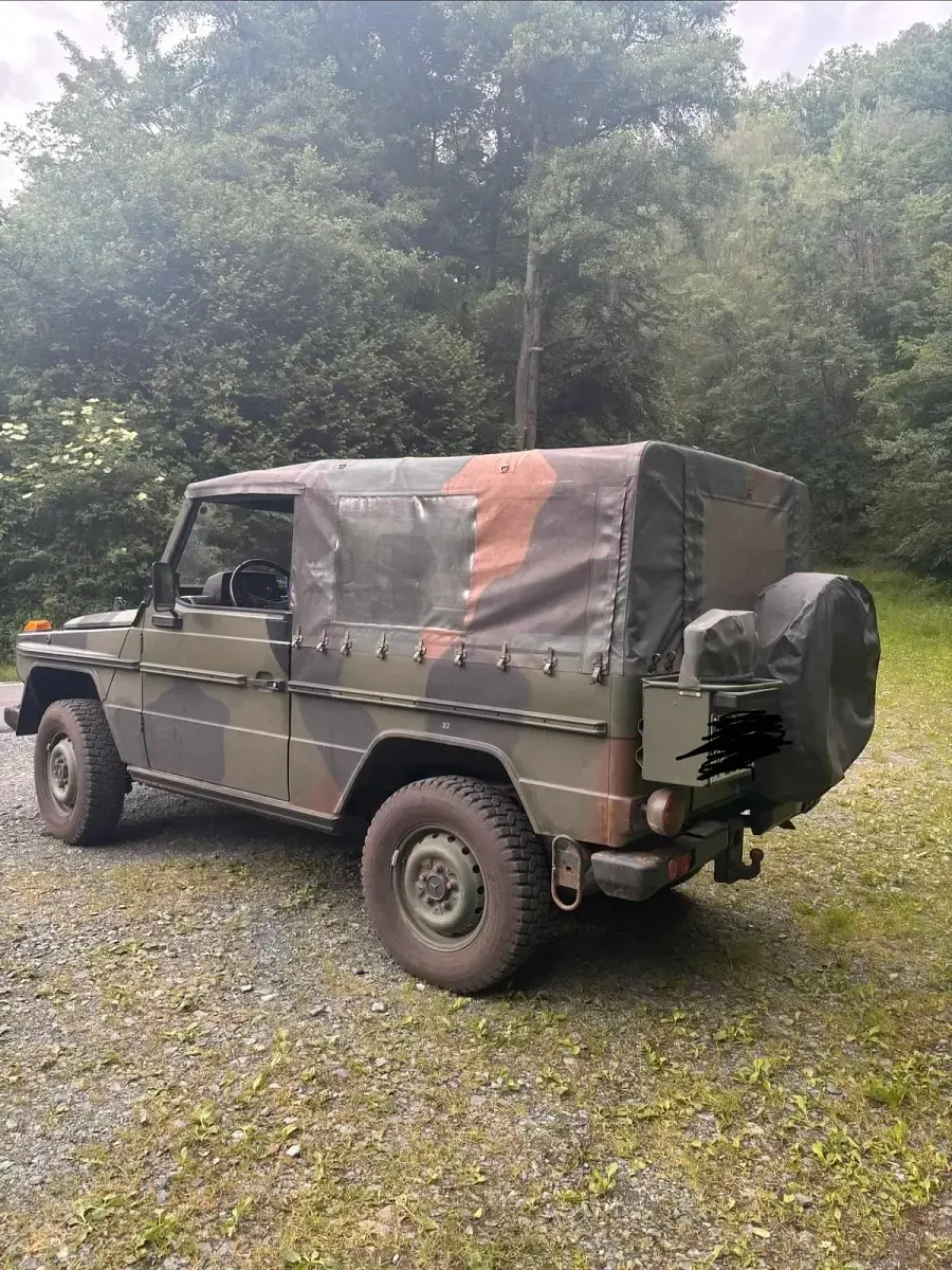 Gebraucht Mercedes G250 1991 Grün SUV