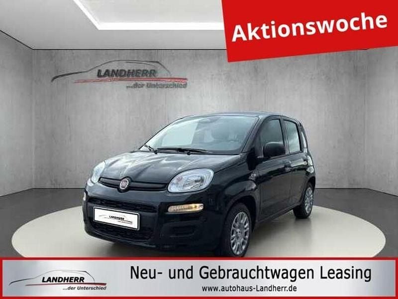 Schwarz Neu 2025 Fiat Panda Kleinwagen | 12.995 € (Guter Preis) - Bild 1/4