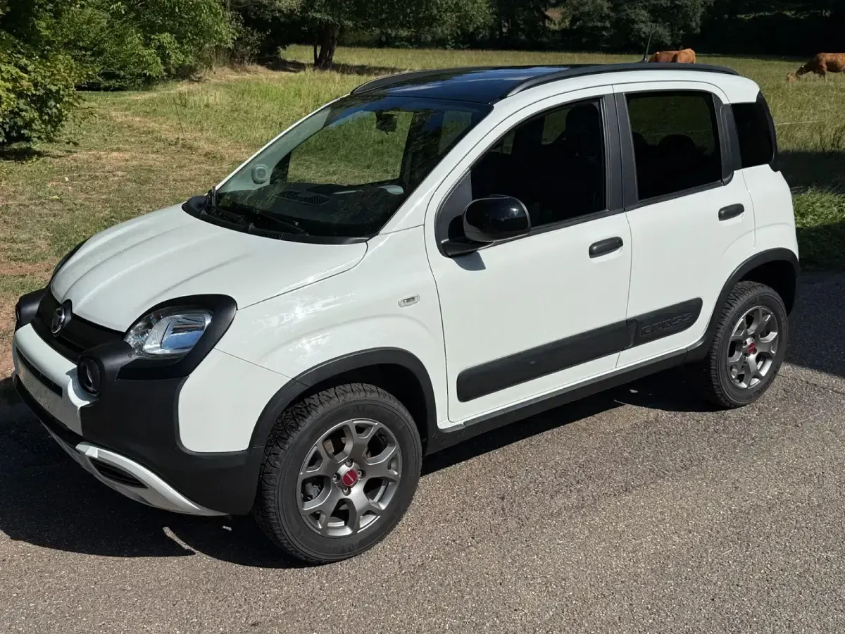 Gebraucht Fiat Panda Cross Cross 86 PS (63 kW) 2023 Weiß Kleinwagen