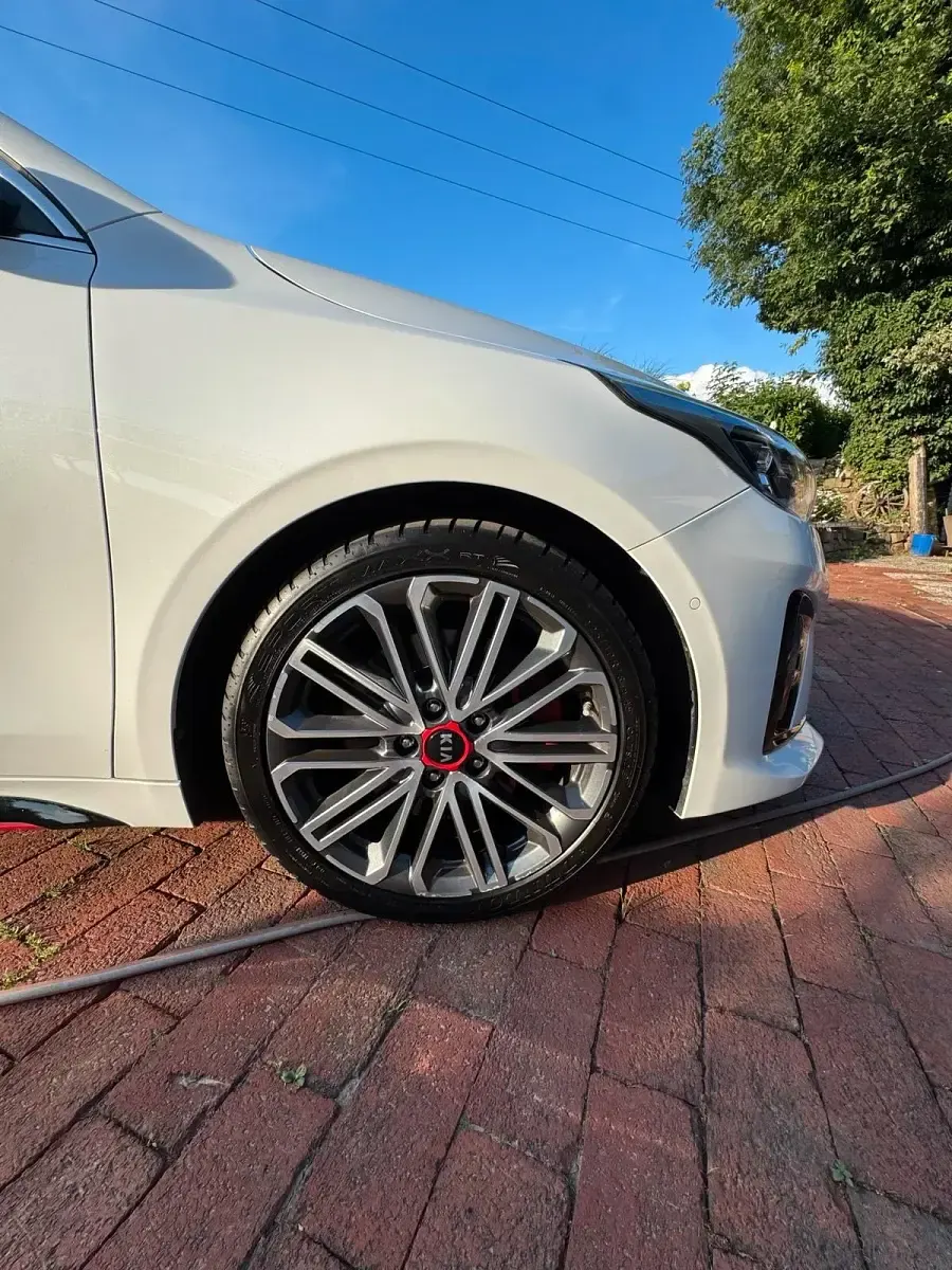 Gebraucht Kia ProCeed 204 PS (150 kW) 2020 Weiß Kombi