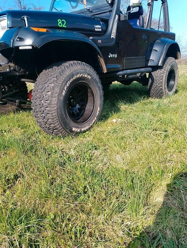 Gebraucht Jeep Wrangler 180 PS (132 kW) 1993 Schwarz SUV