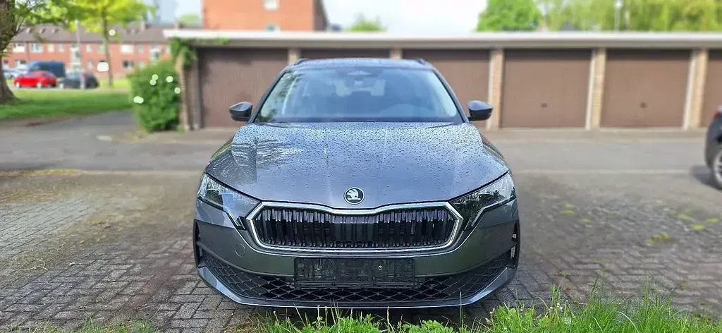Neu Skoda Octavia Comfort 150 PS (110 kW) 2026 Grau Limousine