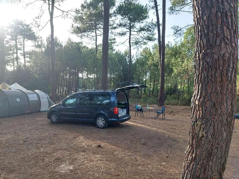 Gebraucht VW Caddy Maxi Trendline 125 PS (91 kW) 2017 Van / Kleinbus