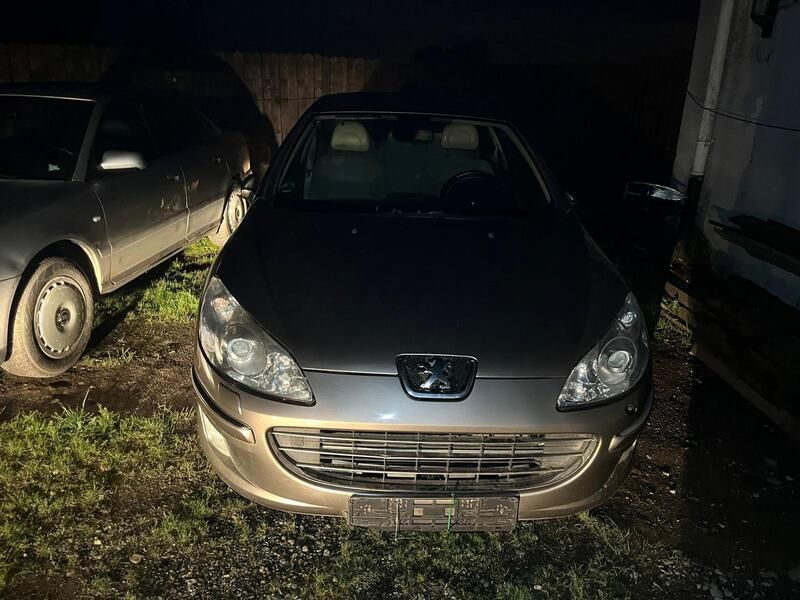 Beige Gebraucht 2007 Peugeot 407 Platinum Limousine | 3.500 € (Guter Preis) - Bild 1/4
