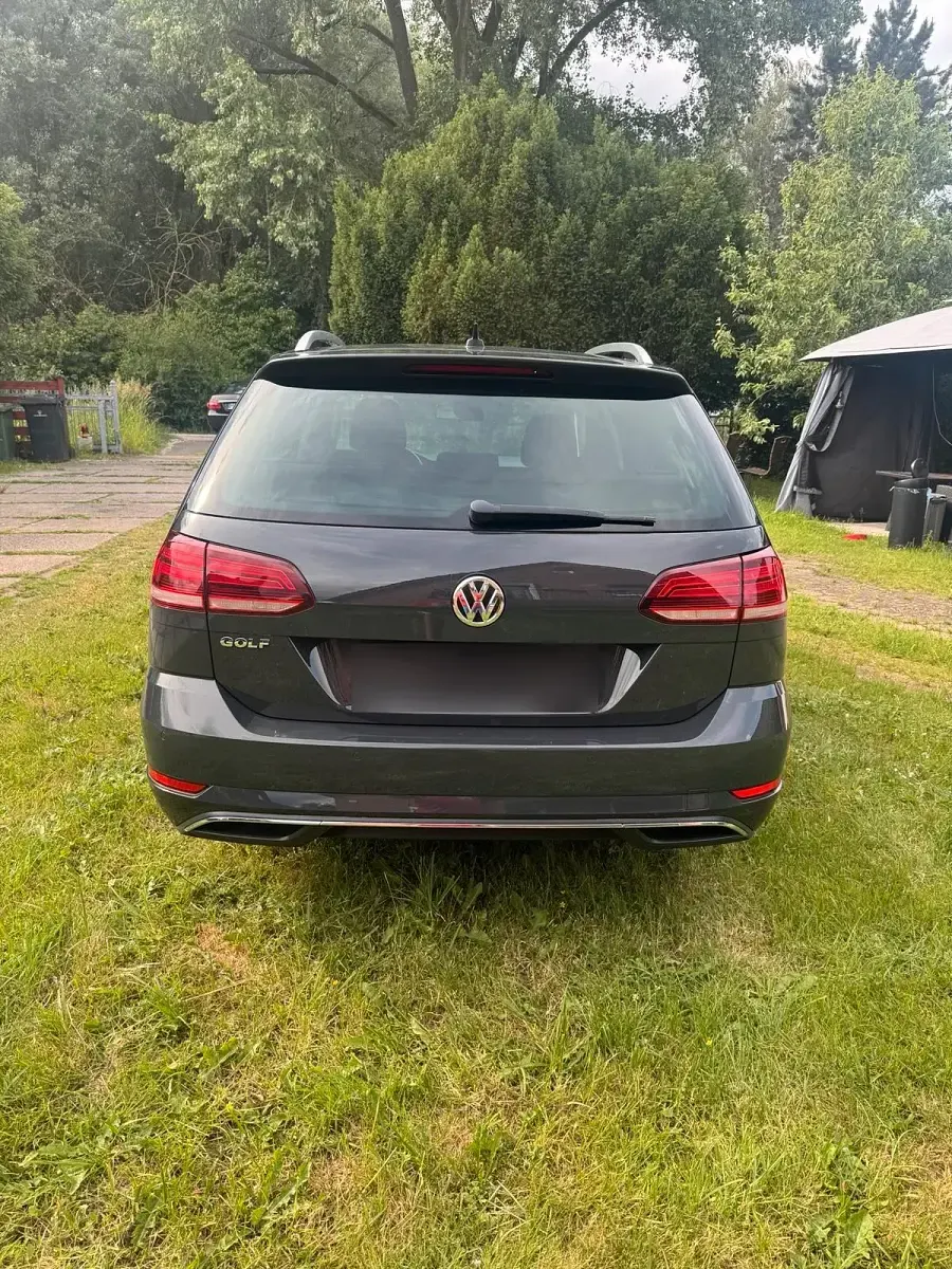 Gebraucht VW Golf VII 150 PS (110 kW) 2019 Grau Kombi