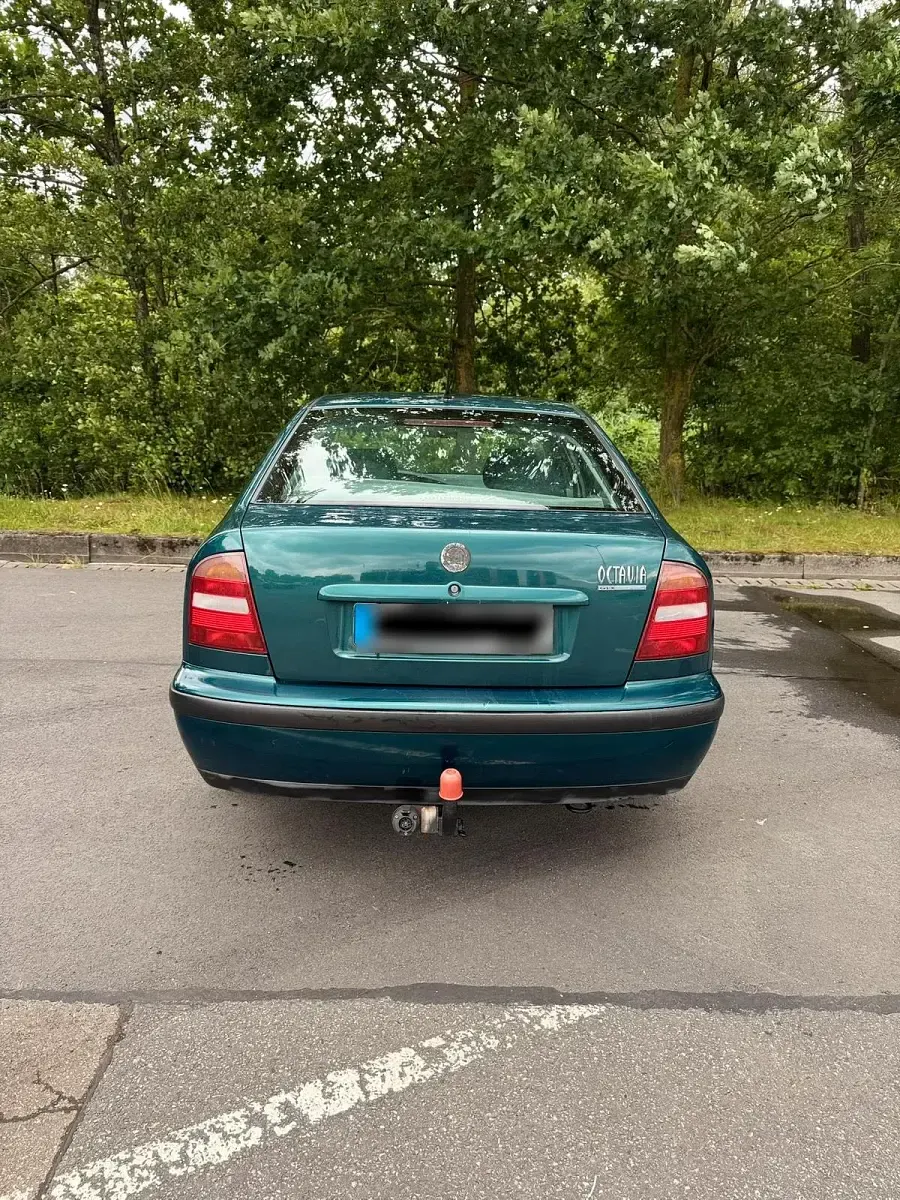 Gebraucht Skoda Octavia 101 PS (74 kW) 2026 Grün Kleinwagen