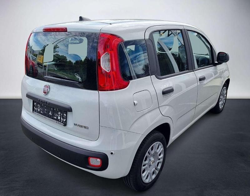 Neu Fiat Panda 69 PS (50 kW) 2025 Gelato weiß Kleinwagen