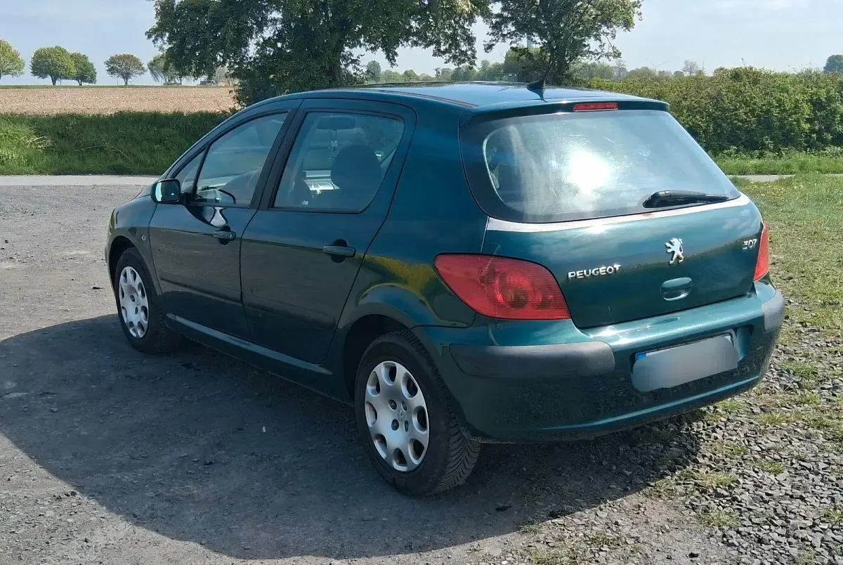 Gebraucht Peugeot 307 109 PS (80 kW) 2002 Grün Limousine