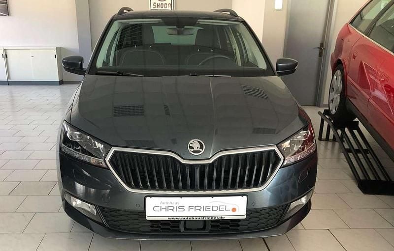 Gebraucht Skoda Fabia Style 110 PS (80 kW) 2020 (grau metallic) Kleinwagen