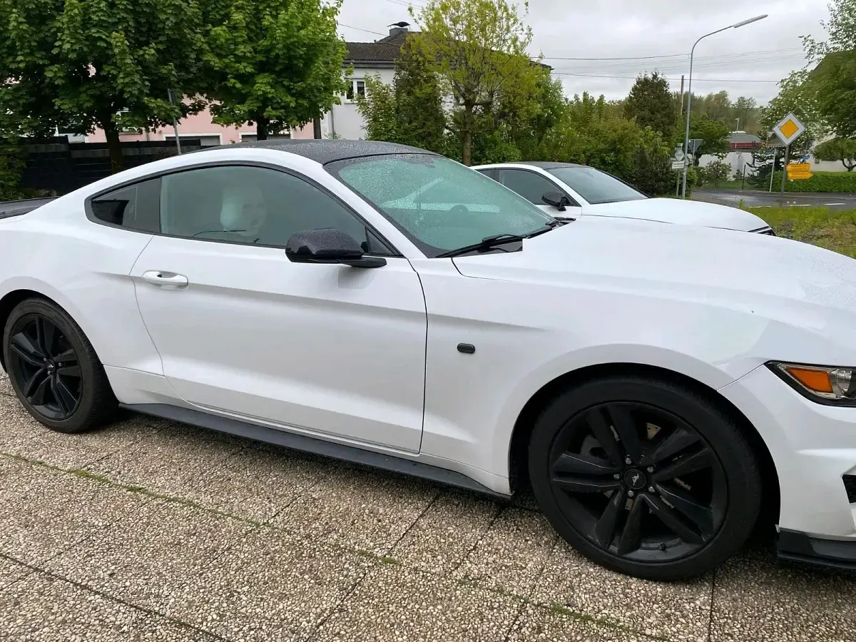 Occasion Ford Mustang 310 ch (228 kW) 2017 Blanc Coupé
