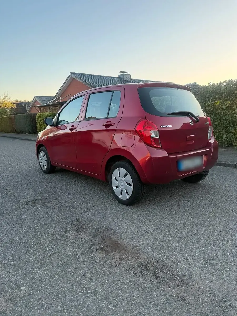 Usata Suzuki Celerio 69 CV (50 kW) 2016 Rosso Utilitaria