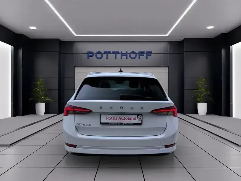 Gebraucht Skoda Octavia Style 150 PS (110 kW) 2023 Candyweiß Kombi
