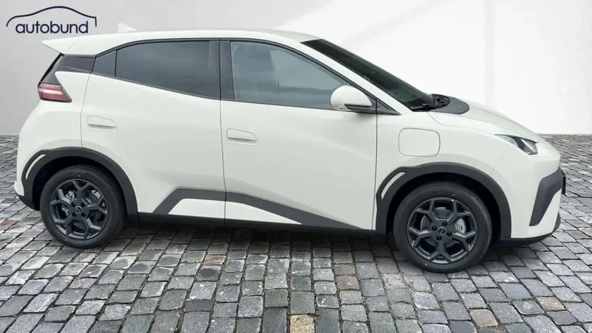Neu BYD Dolphin Surf Comfort 114 kW (156 PS) 2026 Weiß Kleinwagen
