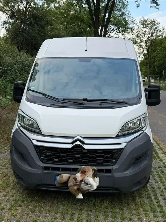 Gebraucht Citroën Jumper 131 PS (96 kW) 2017 Weiß Van / Kleinbus