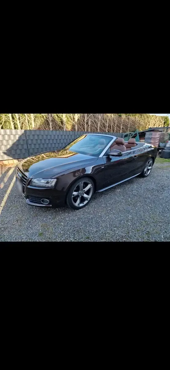 Używany Audi A5 Cabriolet 240 KM (176 kW) 2009 Brązowy Kabriolet