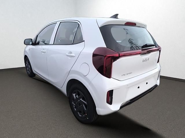 Neu Kia Picanto Vision 68 PS (50 kW) 2025 Weiss Kleinwagen
