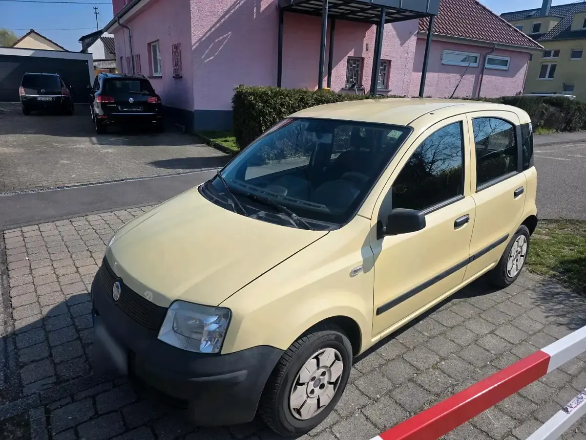 Brugt Fiat Panda 60 HK (44 kW) 2009 Gul Hatchback