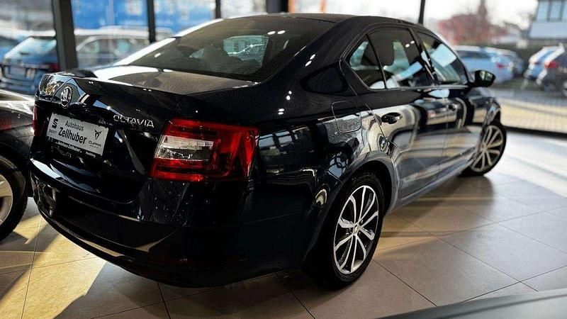 Gebraucht Skoda Octavia Drive 116 PS (85 kW) 2017 Blau Limousine