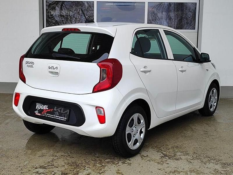 Gebraucht Kia Picanto Edition 7 67 PS (49 kW) 2023 (ud) schneeweiss Kleinwagen