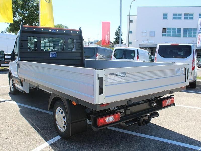 Neu Ford Transit Trend 165 PS (121 kW) 2025 Frost weiß